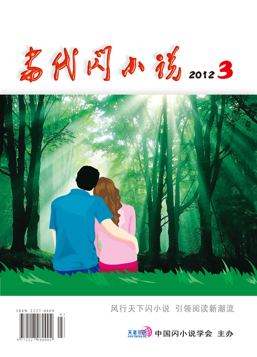 《当代闪小说》2012年第3期目录与封面